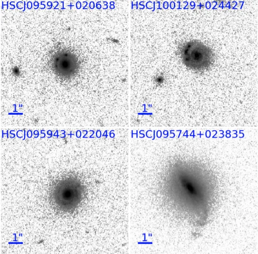 Strongly lensed candidates from the HSC transient survey