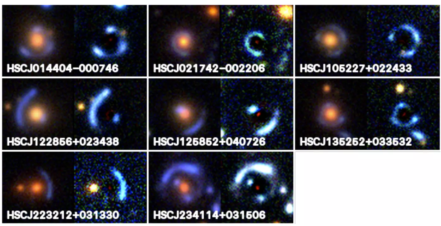 Survey of Gravitationally-lensed Objects in HSC Imaging (SuGOHI). VIII. New galaxy-scale lenses from the HSC SSP